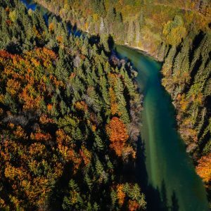 aerial view of river in the fall
