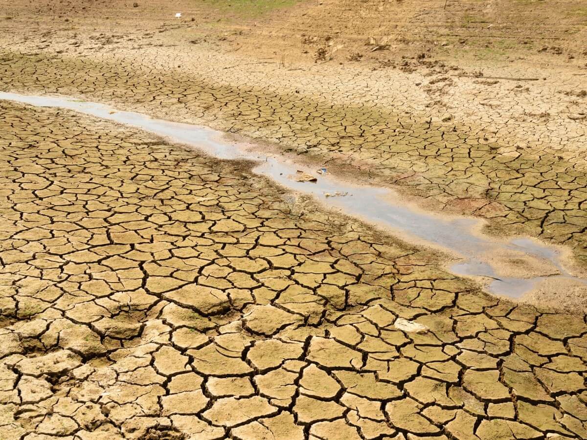 Dry, cracked land.