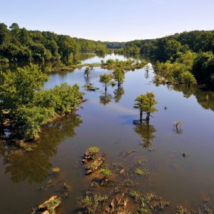 An overhead view of the Coosa River on a clear day. The water appears brown and blue, with trees and logs poking through the surface, and big swaths of trees along the banks.