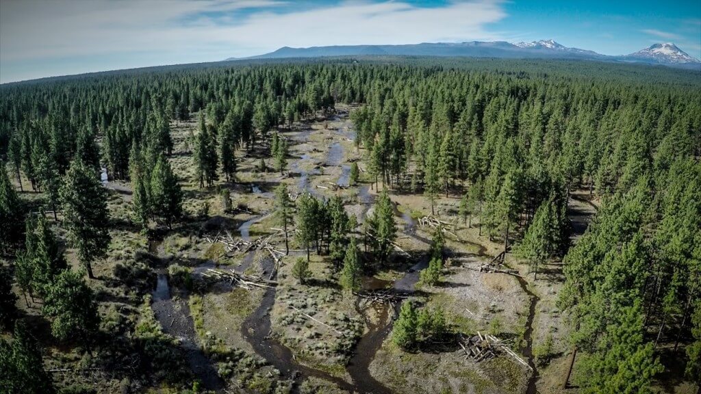 Aerial South deschutes (c)Scott Nelson