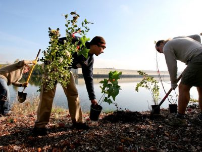Duwamish -SouthParkRestoration Duwamish -SouthParkRestoration