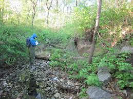 USFWS rapid visual bioassessment