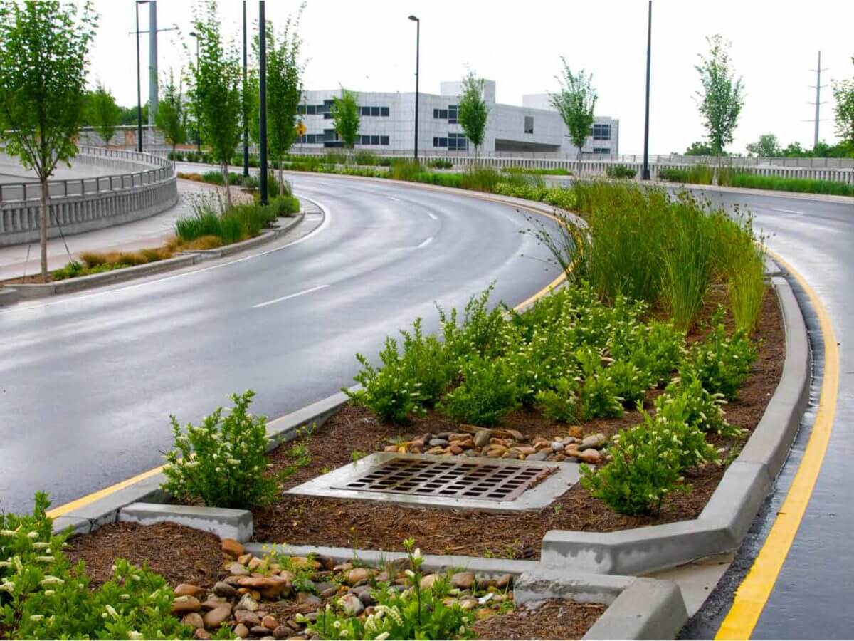 A four lane roadway curves through the foreground, with office buildings in the background. Along the sides of the road, and in a wide bed in the middle of the lanes are trees and other shrubs growing as part of a green infrastructure project to drain stormwater.