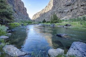 Bruneau Wild and Scenic River, ID.