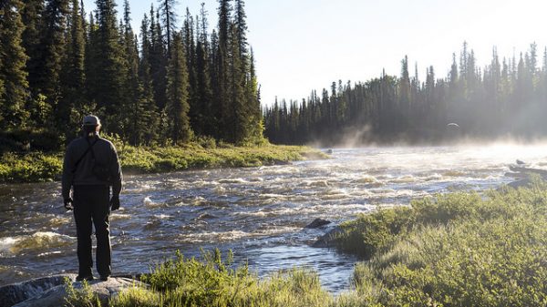 A person stands on the bank of the Gulkana Wild & Scenic River in Alaska. It's a clear sunny day and mist lifts off the surface of the water. The banks are lined with grasses and evergreen trees.