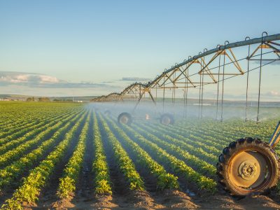 field irrigation field irrigation
