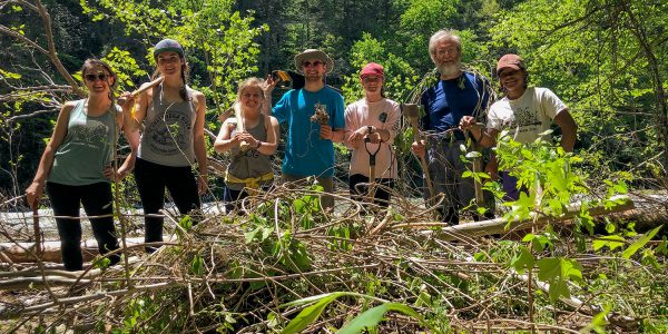 Volunteers removing invasive species along the Chattooga River. Photo courtesy Chattooga Conservancy.