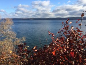 Cayuga Lake with trees in foreground