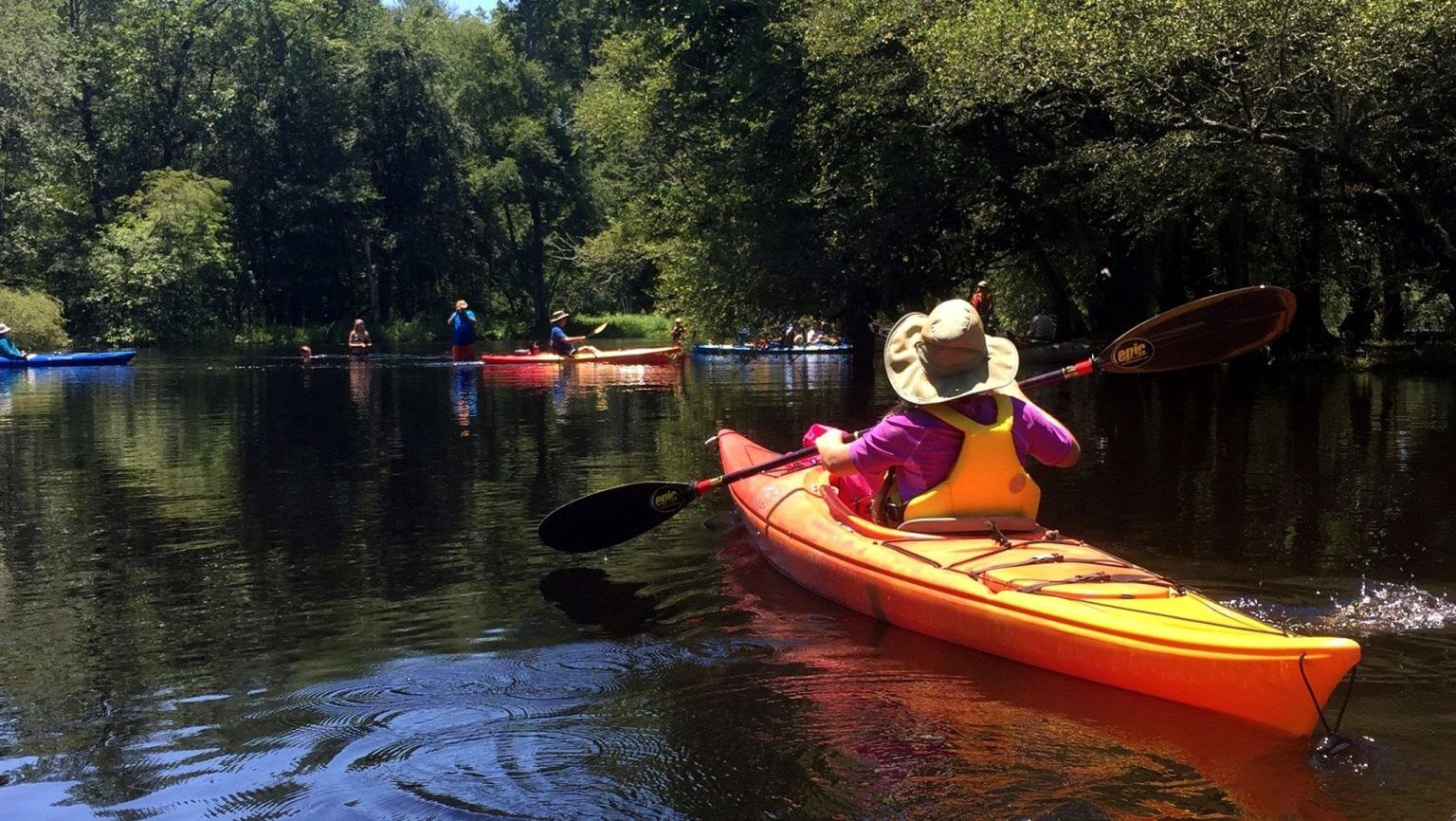 lumberriverbydavidthebeau River Network