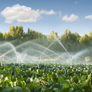 farm-field-irrigation-small