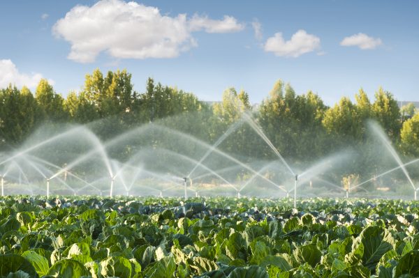 farm-field-irrigation-small