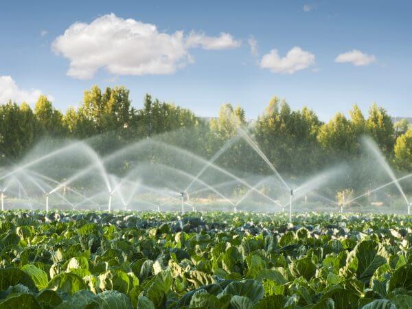 farm-field-irrigation-small
