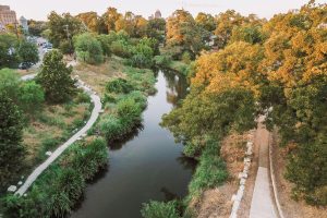 Still water of the San Antonio River with banks of yellow and green trees and paths on either side.