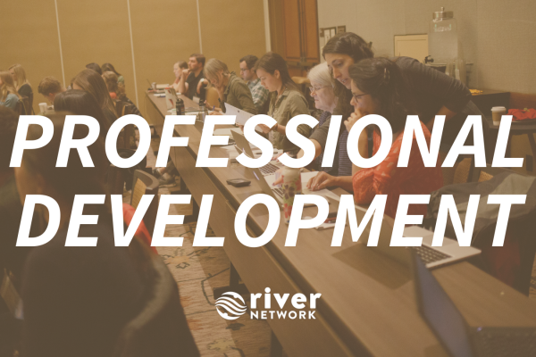 professional-development