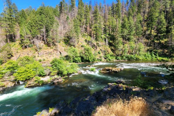 The Umpqua River. Photo by Brenna Goggin.