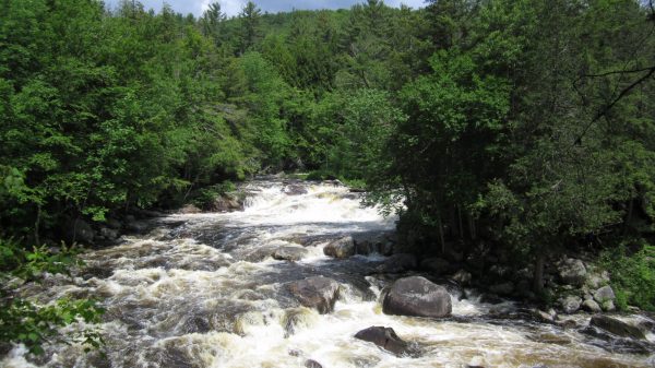 Pottersville,,Ny,/,Usa,-,June,1,,2019:,A,Rushing