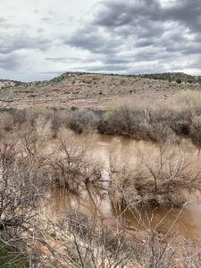 The Verde River flows with brown water through dry desert plants with mesas in the background below a cloudy sky.