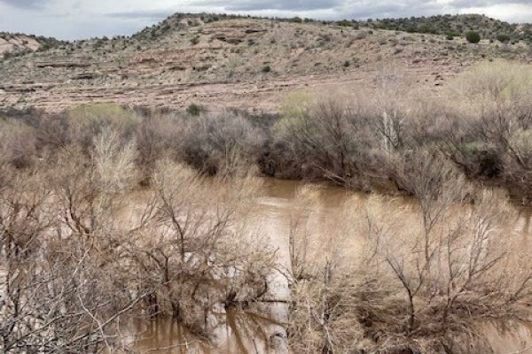 The Verde River flows with brown water through dry desert plants with mesas in the background below a cloudy sky.