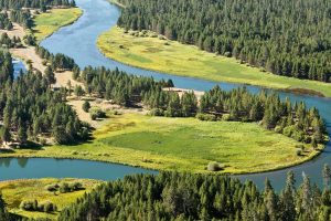 The Deschutes River seen from above flows in a sideways U shape through trees and grassy banks.