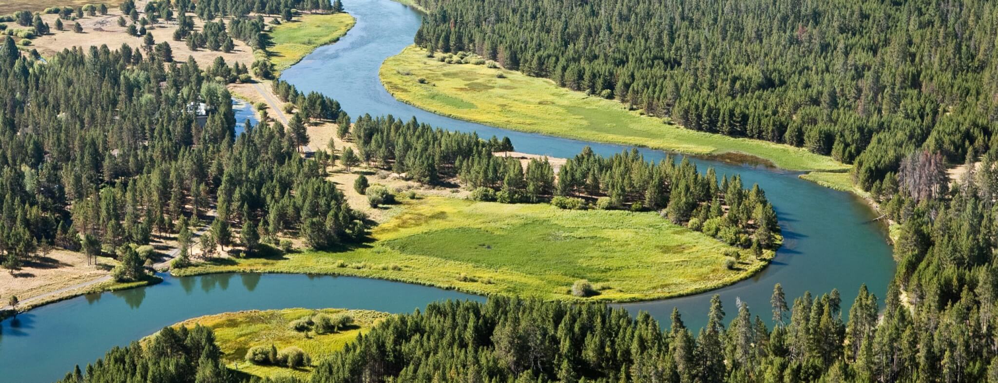 The Deschutes River seen from above flows in a sideways U shape through trees and grassy banks. 