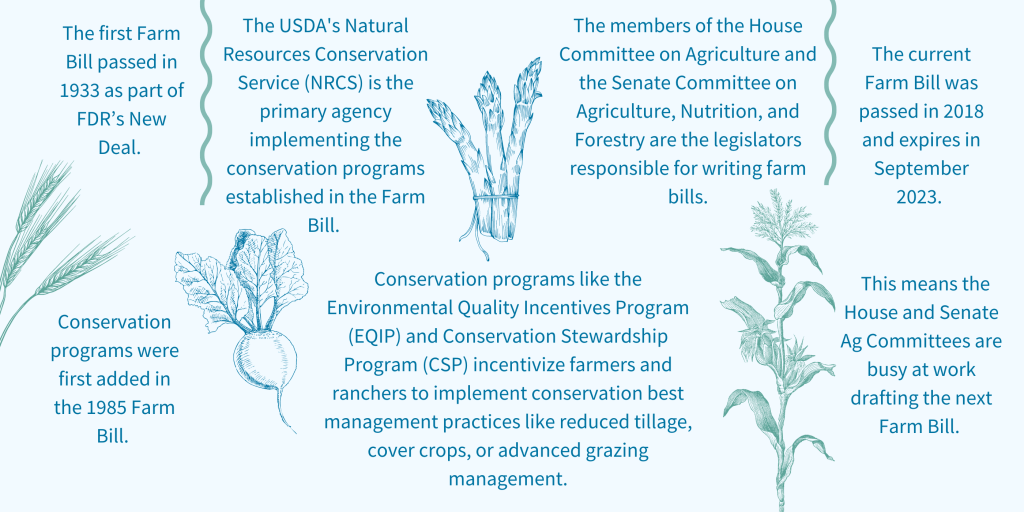 This infographic describes the basics of how the farm bill functions.