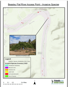 Invasive Species Mapping, Friends of the Verde River