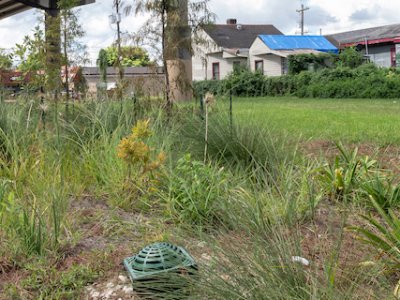 boldbison_buildingtrustvideo_neworleansla_092022_d_3 Rain garden in New Orleans, LA. Photo by Bold Bison.
