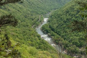 A river flows through a mountain valley, covered with green trees.