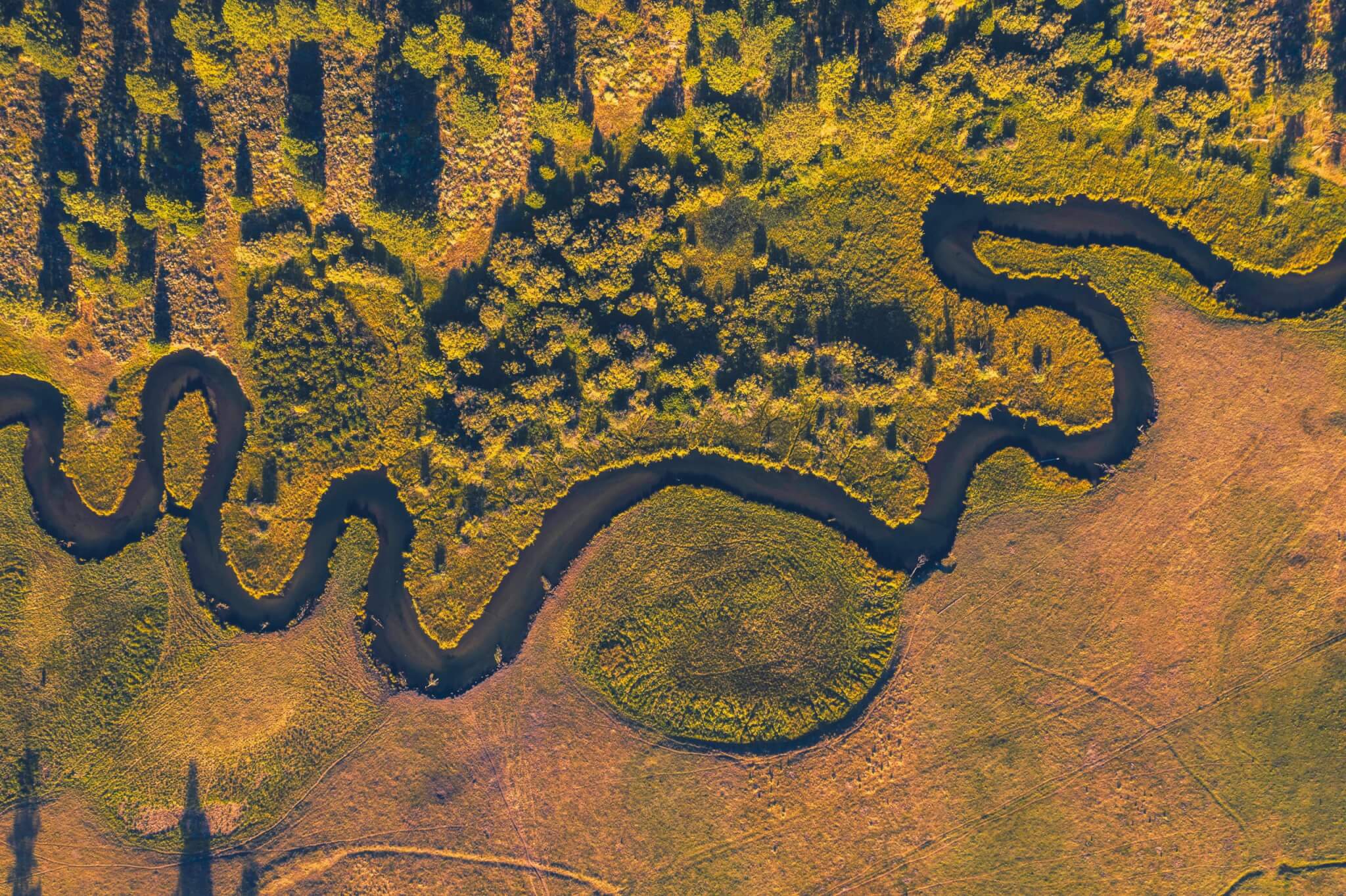 dan-meyers-dkvcimh8a1m-unsplash