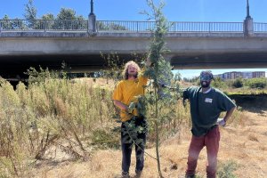 Two River Stewards pose next to an invasive tree.